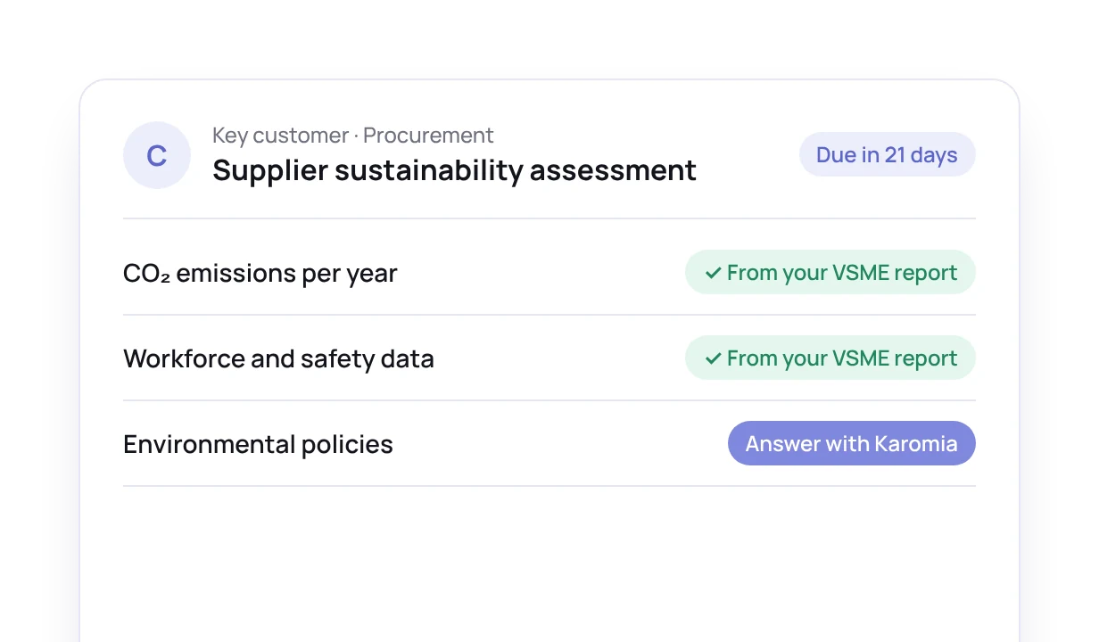 A supplier sustainability assessment from a customer, answered from the VSME report